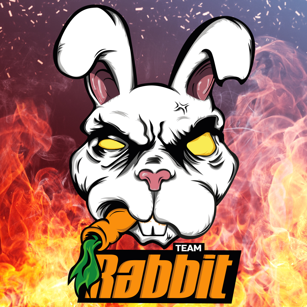 Team Rabbit